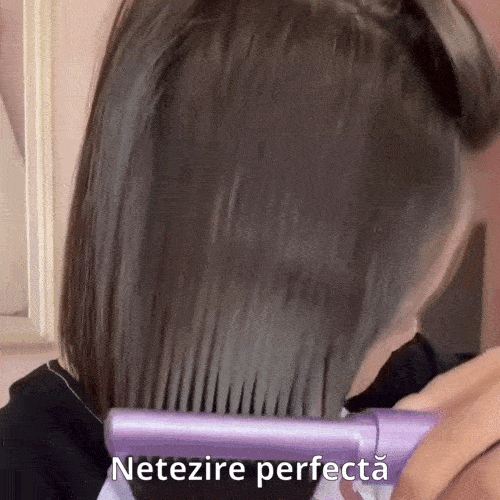 Perie Profesională pentru Păr